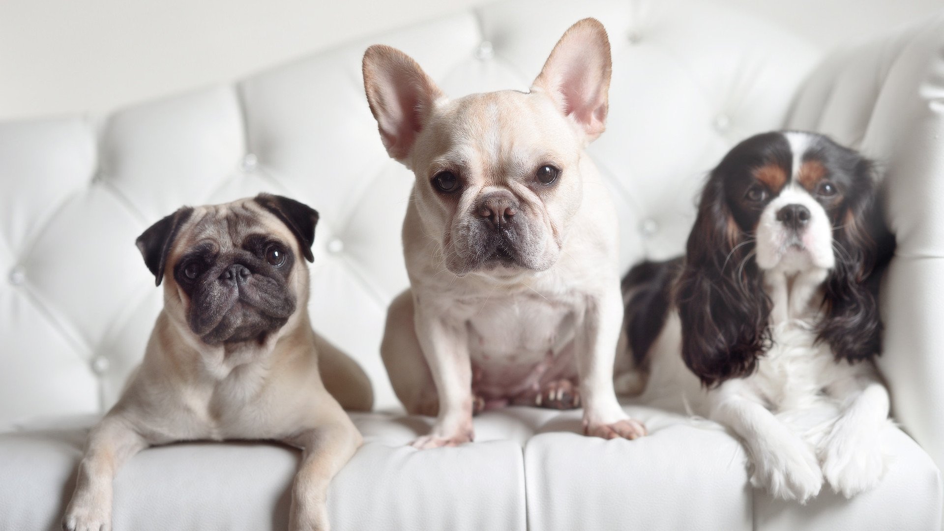 体育-暗夜执棋者，当奥纳纳在F1揭幕战中改写命运方程式