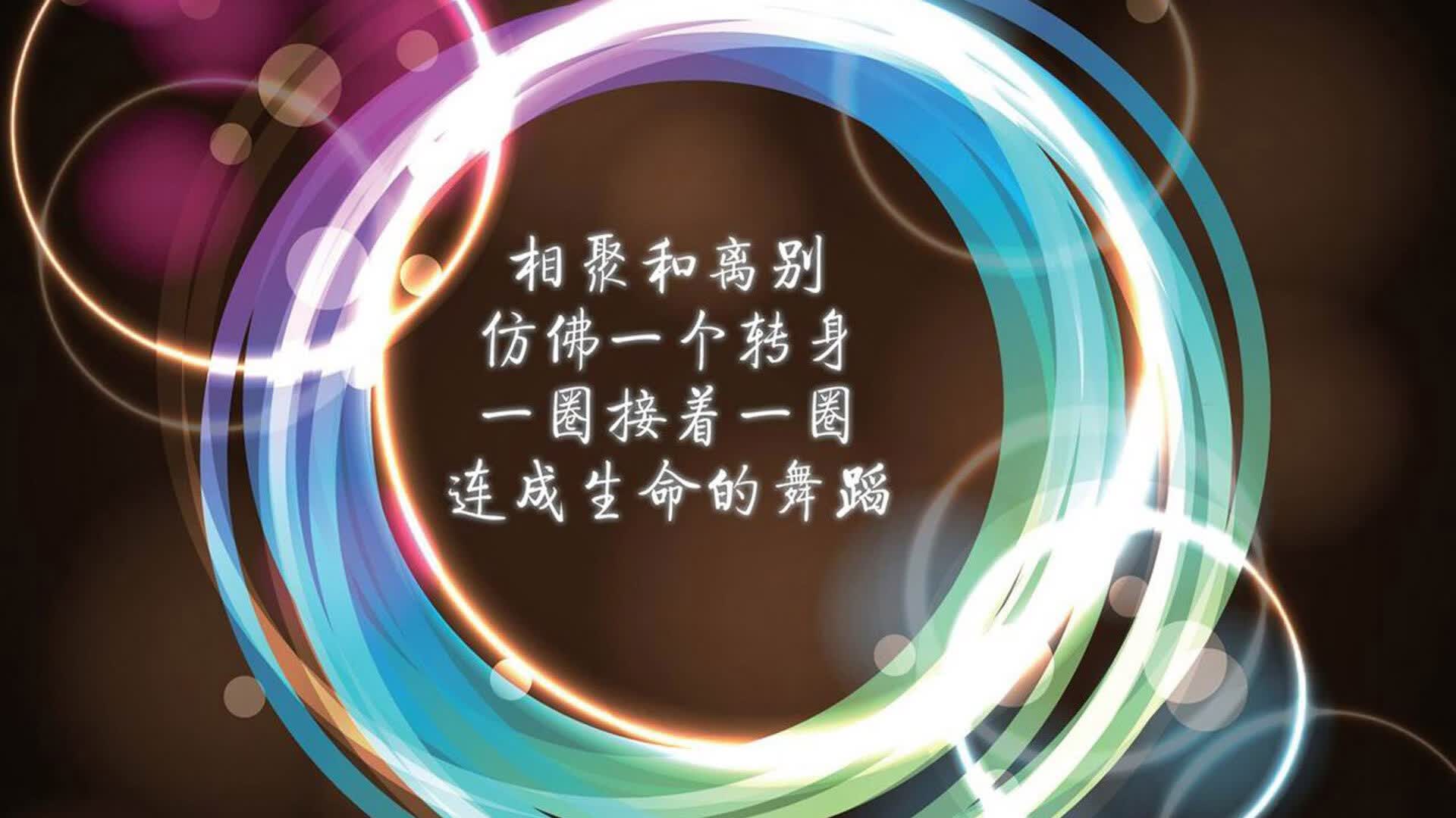 控球为矛,萨内为刃,2026世界杯B组伊朗硬撼芬兰,一场非典型的统治之战